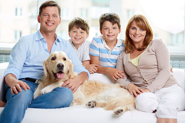 Tips For Family Dental Care  From A Top Georgetown, TX, Dentist